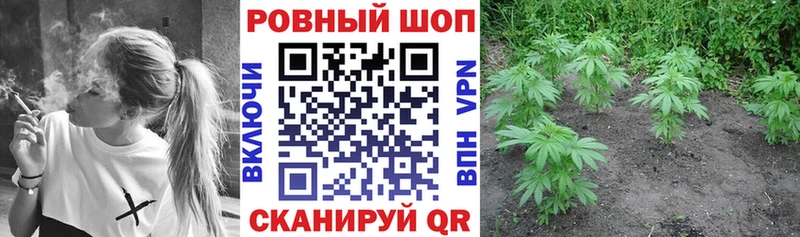 Где купить наркотики Барыш КОКАИН  Гашиш  АМФ  Канабис 