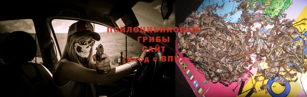 гашиш Арсеньев