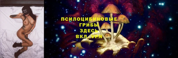 гашиш Арсеньев