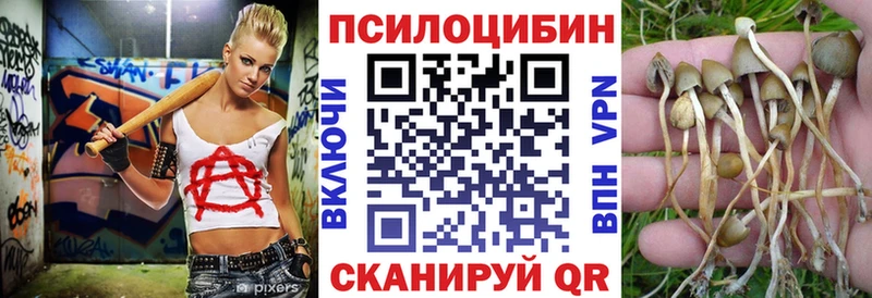 Галлюциногенные грибы Psilocybe  Барыш 