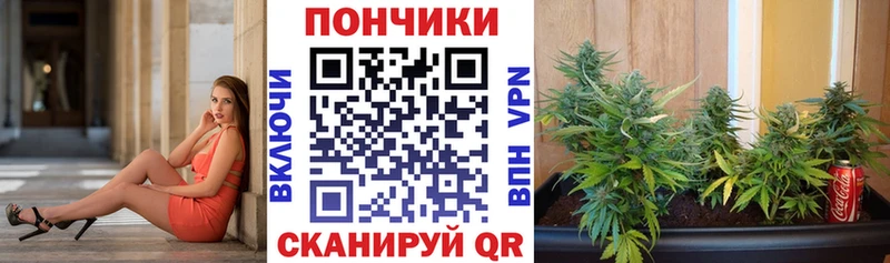 Шишки марихуана тримм  ссылка на мегу онион  Барыш  наркошоп 